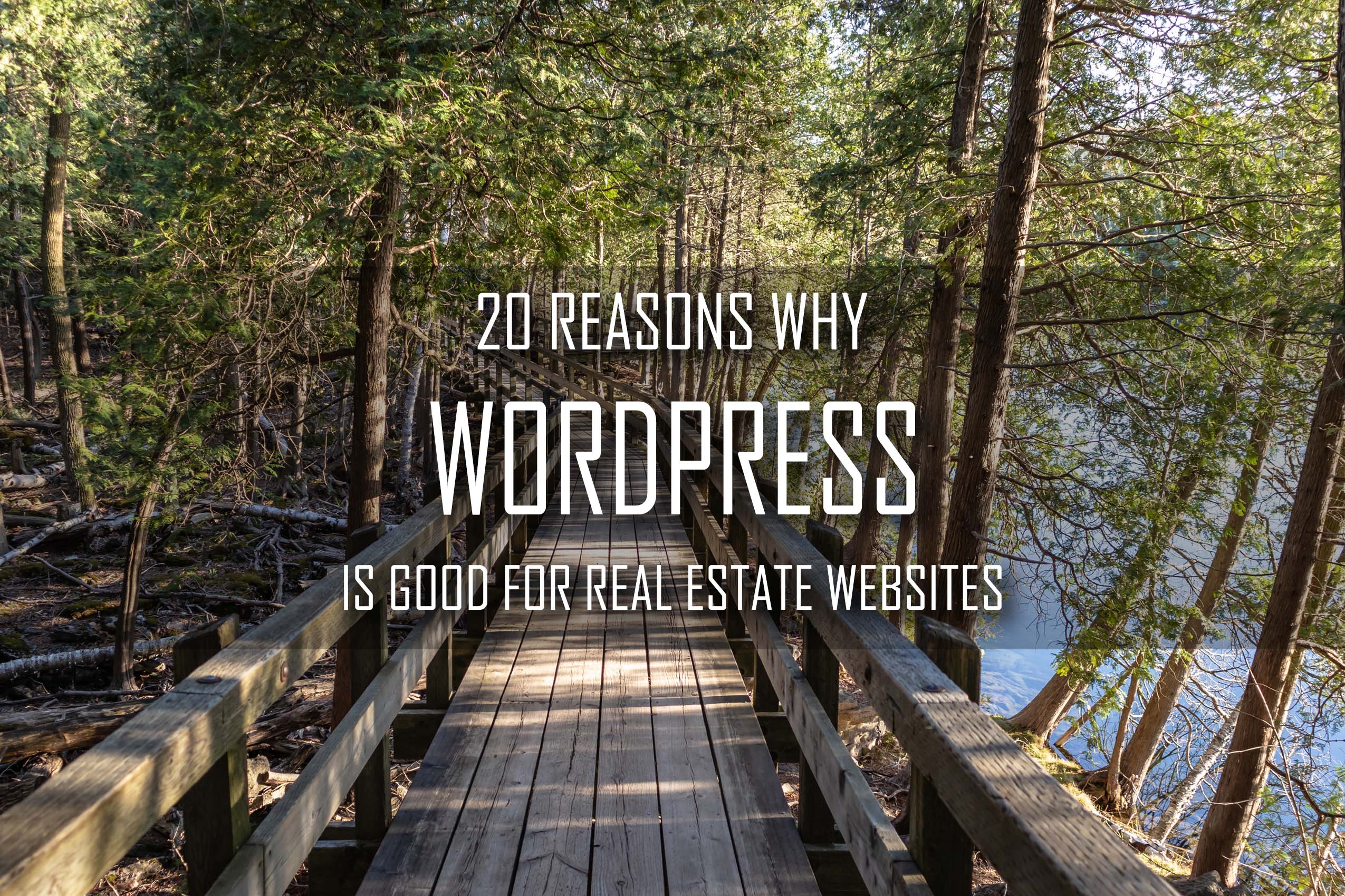 20 Reasons why WordPress is Good For Real Estate Websites